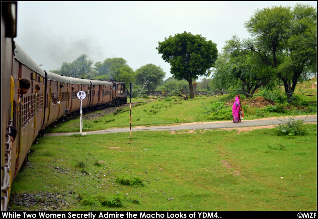 Marwar Mavli Meter Gauge