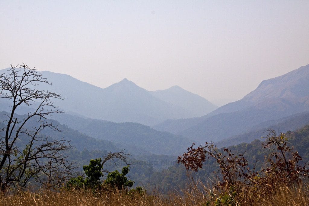 Sakleshpur - Subrahmanya Road