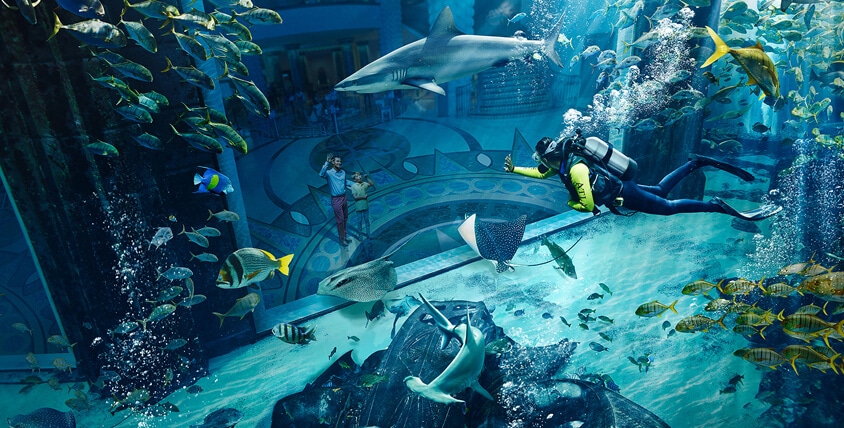 Atlantis Dive Centre, Dubai