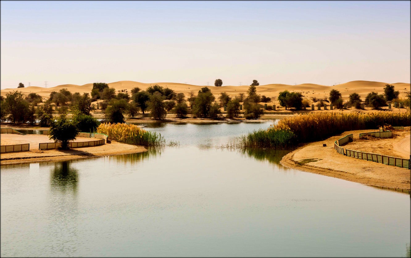 Al Qudra Lake Oasis, Dubai